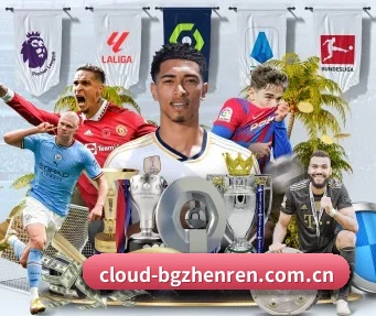 公司成立